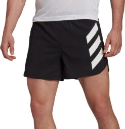 Shorts Adidas Terrex AGRAVIC SHORT M