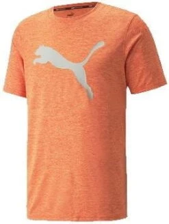 Magliette Puma TRAIN FAV HEATHER CAT SS TEE -SportModa Elite Negozio puma train fav heather cat ss tee 435600 520139 25 960