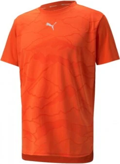 Magliette Puma TRAIN VENT SS TEE Cherry Tomato-Jacquard 10 Magliette Puma TRAIN VENT SS TEE Cherry Tomato-Jacquard -SportModa Elite Negozio puma train vent ss tee cherry tomato jacquard 433478 52153025 960